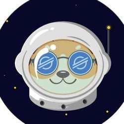 coin icon