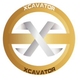 coin icon