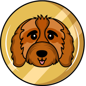 coin icon