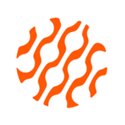 coin icon