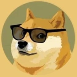 coin icon