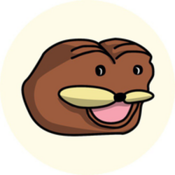 coin icon