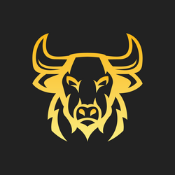 coin icon