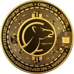 coin logo