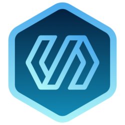 coin icon