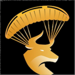 coin icon