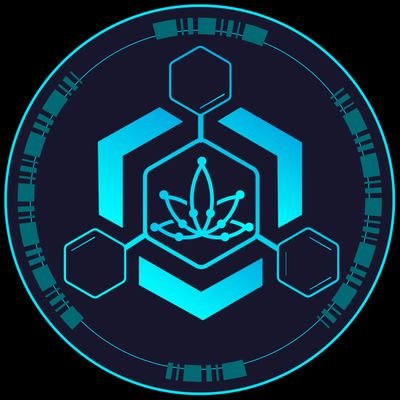 coin logo