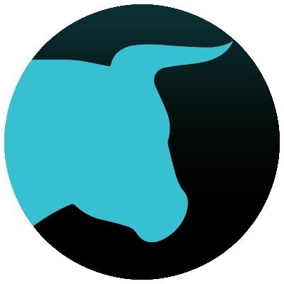 coin icon