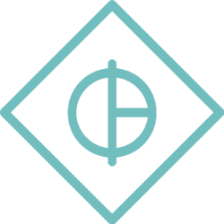 coin icon