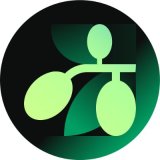 coin logo