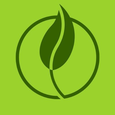 coin logo