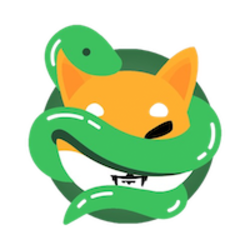 coin icon