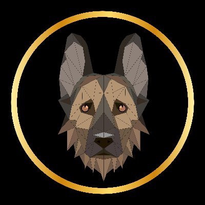 coin icon