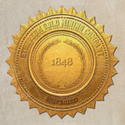 coin icon