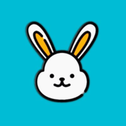 coin icon