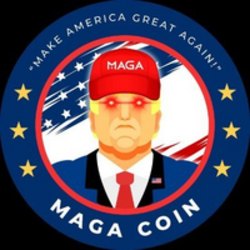 coin icon