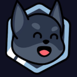coin icon