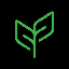 coin icon