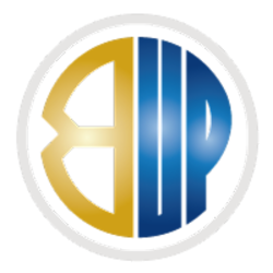 coin icon