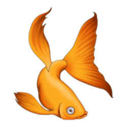 coin icon