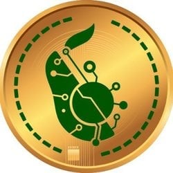coin logo