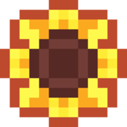 coin icon