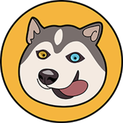 coin icon