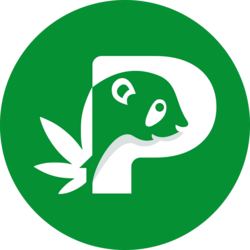 coin logo