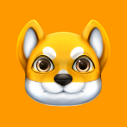 coin icon