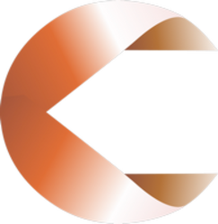 coin icon