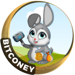 coin icon