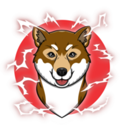 coin icon