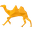 coin icon