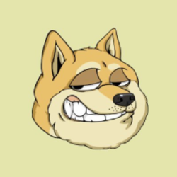 coin icon