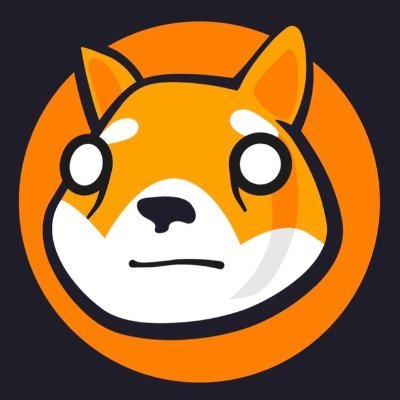coin icon