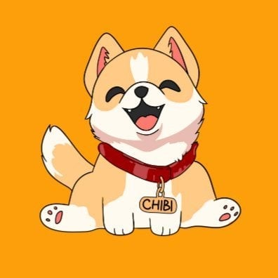 coin icon