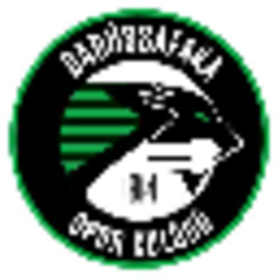 coin logo