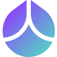 coin icon