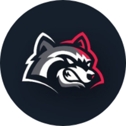 coin icon