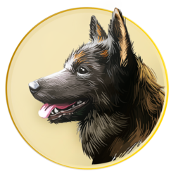 coin icon