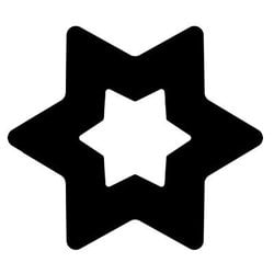 coin icon