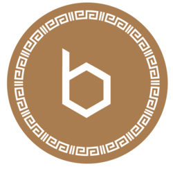 coin icon