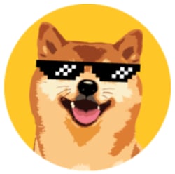 coin icon