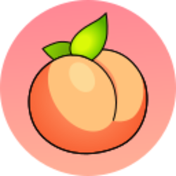 coin icon