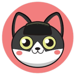 coin icon