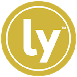 coin icon