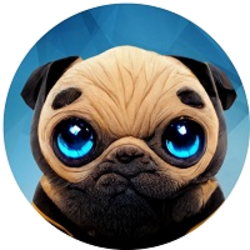 coin icon