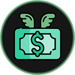 coin icon
