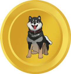 coin logo