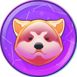 coin icon